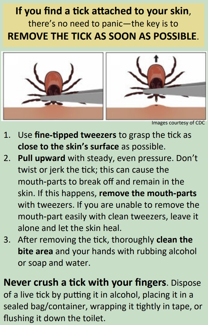 Tic Check Guide Tick Safety Guide – IMPACT VT